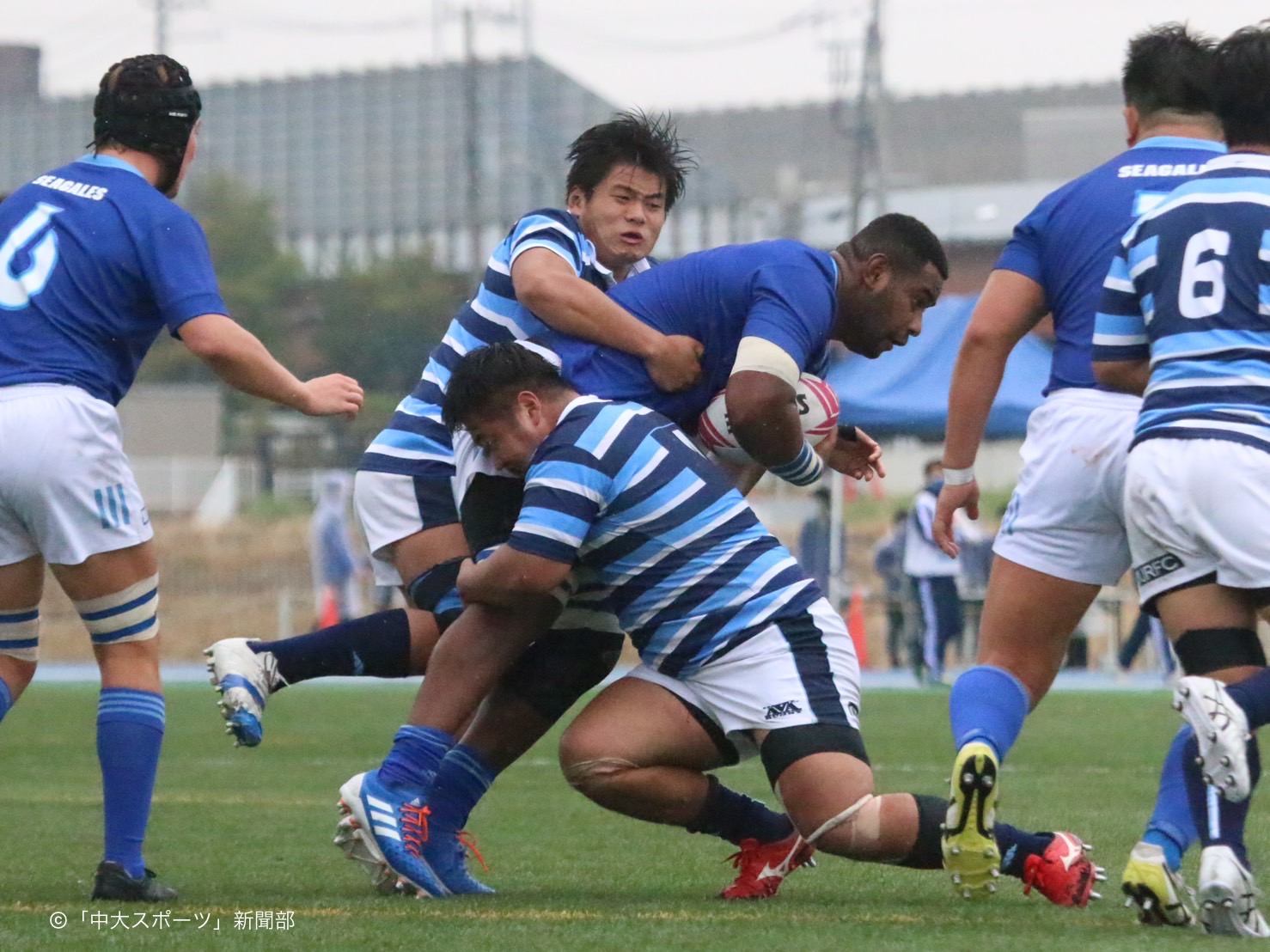 東海大学ラグビー部 ベンチコート 触れ合う